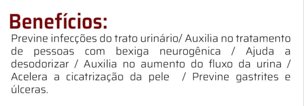 Cranberry 200mg C/60 Cápsulas - Good Vit