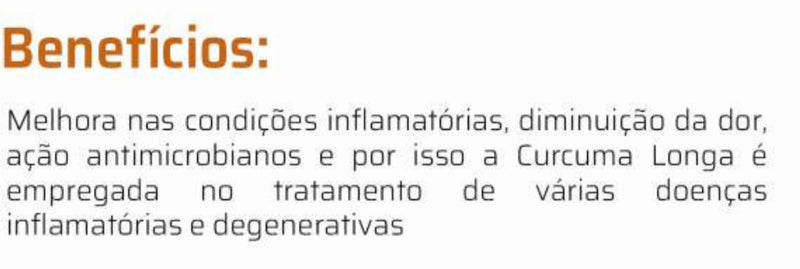 Cúrcuma Longa 80mg C/60 Cápsulas - Good Vit